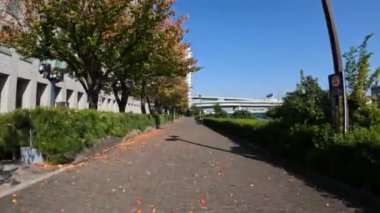 Tokyo Sumidagawa Bisiklet 2022 Sonbahar