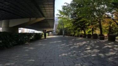 Tokyo Sumidagawa Bisiklet 2022 Sonbahar