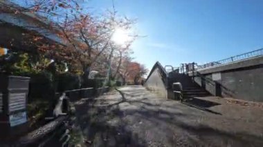 Tokyo Sumidagawa Bisiklet 2022 Sonbahar