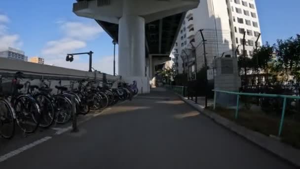 Tokyo Sumidagawa Bisiklet 2022 Sonbahar — Stok video