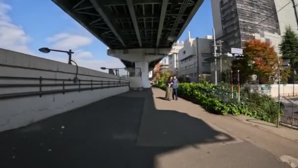 Tokio Sumidagawa Radfahren 2022 Herbst — Stockvideo