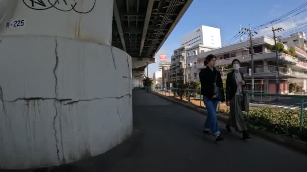 Tokyo Sumidagawa Bersepeda 2022 Musim Gugur — Stok Video