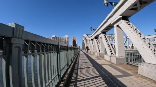 Tokyo Sumidagawa Bisiklet 2022 Sonbahar — Stok video