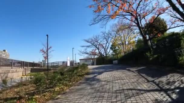東京隅田川サイクリング2022秋 — ストック動画