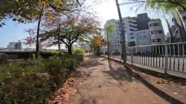 Tóquio Sumidagawa Ciclismo 2022 Outono — Vídeo de Stock