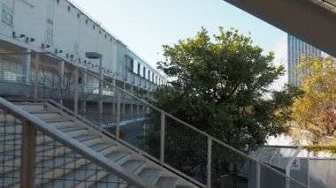 Odaiba Sökme, Tokyo Japonya Aralık 2022