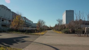 Odaiba Sökme, Tokyo Japonya Aralık 2022