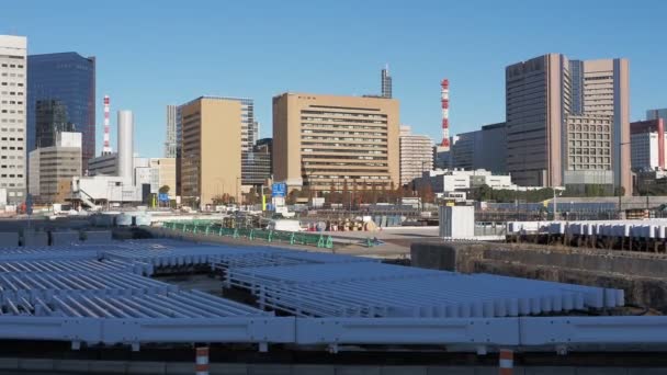 Tsukiji Japón Tokio Diciembre 2022 — Vídeos de Stock