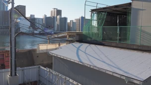 Tsukiji Japan Tokyo December 2022 — 图库视频影像