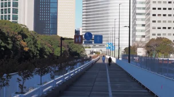 東京都築地2022年12月 — ストック動画