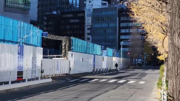 Реконструкция Нонбаши Япония Токио 2023 — стоковое видео