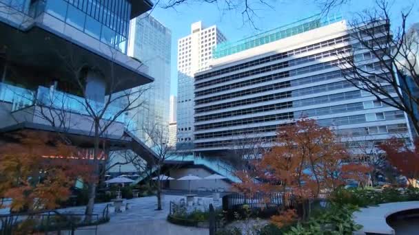 Tokyo Tokiwabashi Redevelopment Январь 2023 — стоковое видео