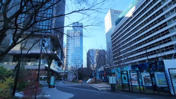 Tokyo Tokiwabashi Yeniden Hızlandırma Ocak 2023 — Stok video