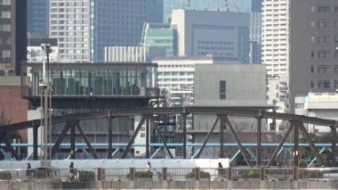 Onagigawa Nehri, Japonya Tokyo 2023