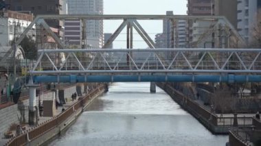 Onagigawa Nehri, Japonya Tokyo 2023