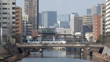 Onagigawa Nehri, Japonya Tokyo 2023