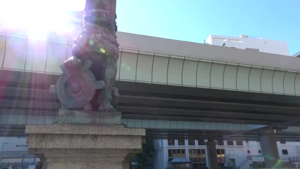 Токийская Метрополитен Автострада — стоковое видео