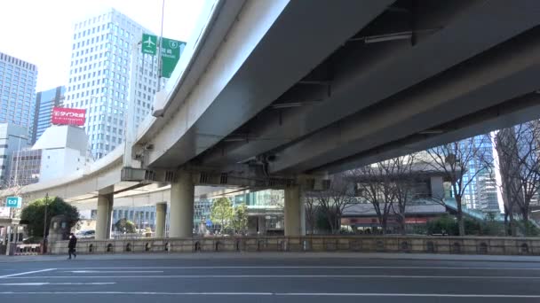 Tokyo Metropolitan Expressway Sezione Sotterranea 2023 — Video Stock