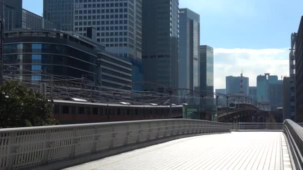 Поїзд Японії Токійський Ландшафт — стокове відео