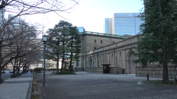 Bank Japan Tokyo Landskap 2023 — Stockvideo