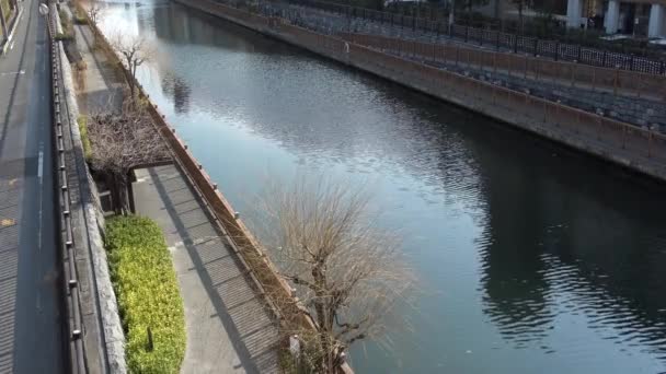 Río Onagigawa Japón Tokio 2023 — Vídeo de stock