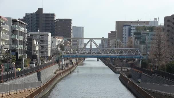 Rio Onagigawa Japão Tóquio 2023 — Vídeo de Stock