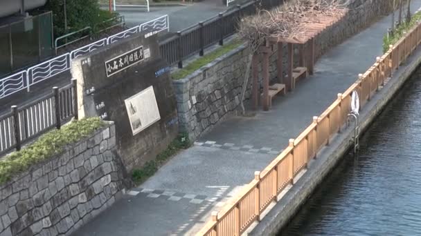 Rivière Onagigawa Japon Tokyo 2023 — Video