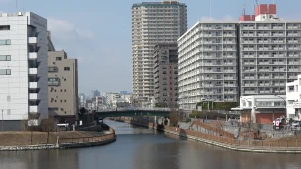 Река Онагигава Япония Токио 2023 — стоковое видео