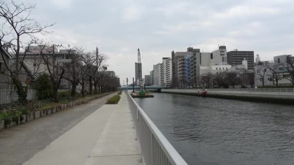 Onagigawa Fluss Japan Tokio 2023 — Stockvideo