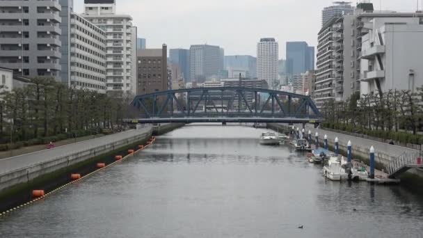 Onagigawa Fluss Japan Tokio 2023 — Stockvideo