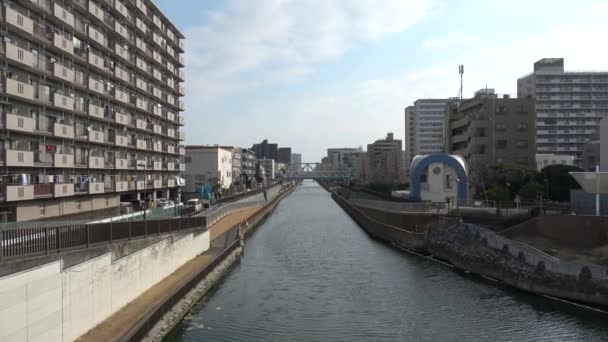 Onagigawa Joki Japani Tokio 2023 — kuvapankkivideo