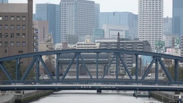 Река Онагигава Япония Токио 2023 — стоковое видео