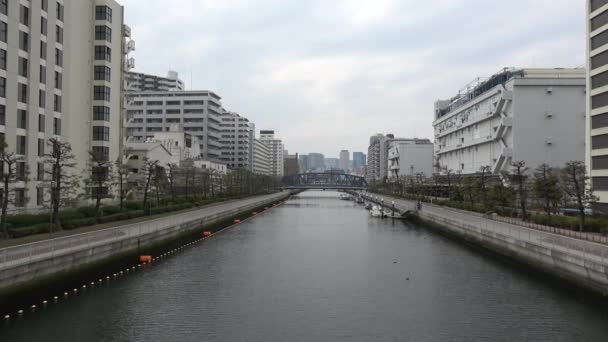 Onagigawa Rivier Japan Tokio 2023 — Stockvideo