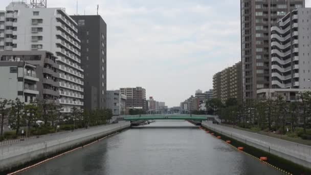 Fiume Onagigawa Giappone Tokyo 2023 — Video Stock