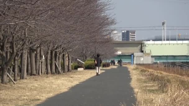 Пейзаж Реки Аракава 2023 Февраля Япония Токио — стоковое видео