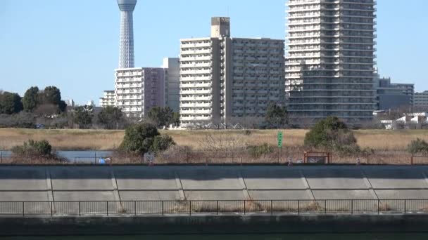 Arakawa Rivierbedding Landschap 2023 Februari Japan Tokio — Stockvideo