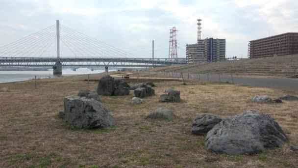 Сад Річки Аракава Landscape 2023 Лютого Японія — стокове відео