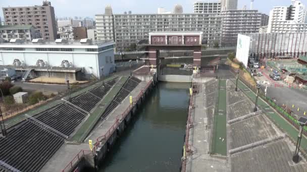 Пейзаж Реки Аракава 2023 Февраля Япония Токио — стоковое видео