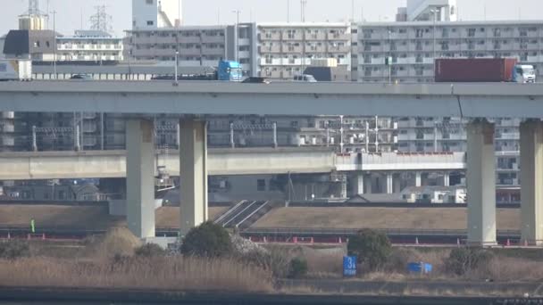 Arakawa Flussbett Landschaft 2023 Februar Japan Tokio — Stockvideo