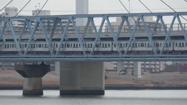 Arakawa Riverbed Paisagem 2023 Fevereiro Japão Tóquio — Vídeo de Stock