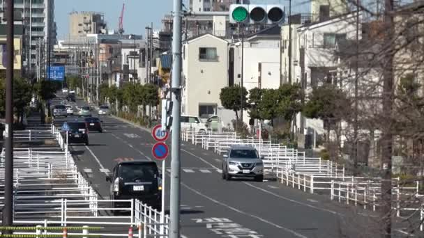 Alte Edogawa Brücke Baustelle Japan 2023 Geplant — Stockvideo