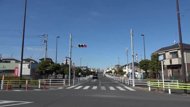 Будівництво Старого Моста Едогава Плановане Японії 2023 Року — стокове відео
