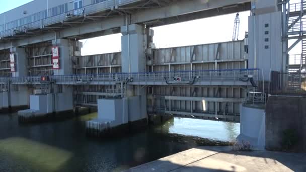 Imai Floodgate Japan Tokyo 2023 — Stock Video