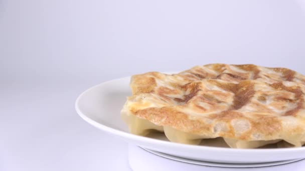 Gyoza Japonés Pan Fried Dumplings — Vídeo de stock