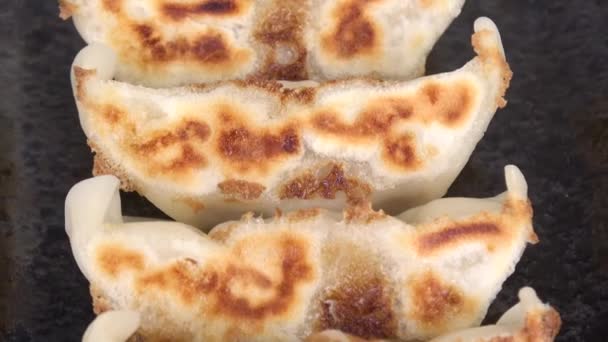 Gyoza Japon Tava Kızarmış Böreği — Stok video