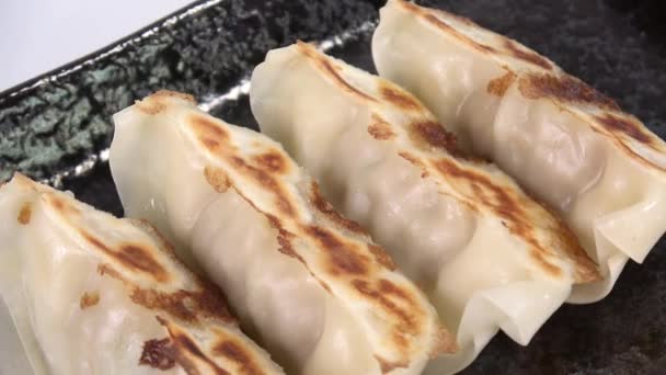 Gyoza Japonês Pan Frito Dumplings — Vídeo de Stock