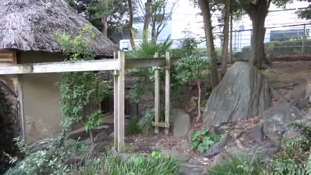 도쿄의 풍경의 물레방아 — 비디오