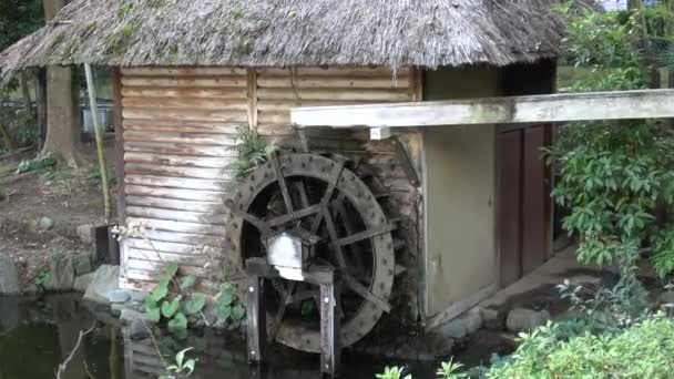 Rueda Agua Japón Tokyo Landscape Day Watermill — Vídeo de stock