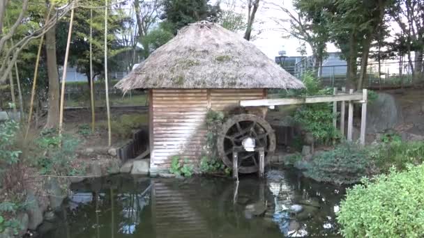 Roda Água Japão Tokyo Landscape Day Watermill — Vídeo de Stock