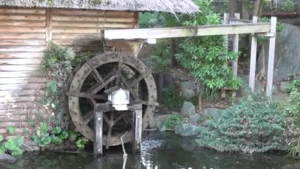Водяне Колесо Японія — стокове відео